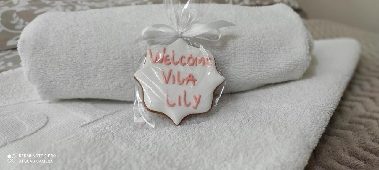 فيلا سميديريفوفي Vila Lily المظهر الخارجي الصورة